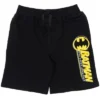 DC Comics Justice League The Flash Superman Batman French Terry 3 Pack Shorts Little Kid To Big Kid 1 DC Comics Justice League The Flash Superman Batman French Terry 3 Pack Shorts Little Kid To Big Kid -Dc Comics GUEST 577ef69a 16a6 4f68 a8c3 92f0af58a1d2